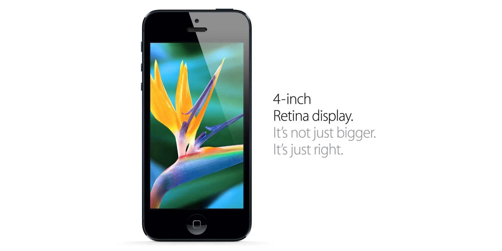 Apple Officially Discontinues Support for Two iPhone Models: What Users Need to Know